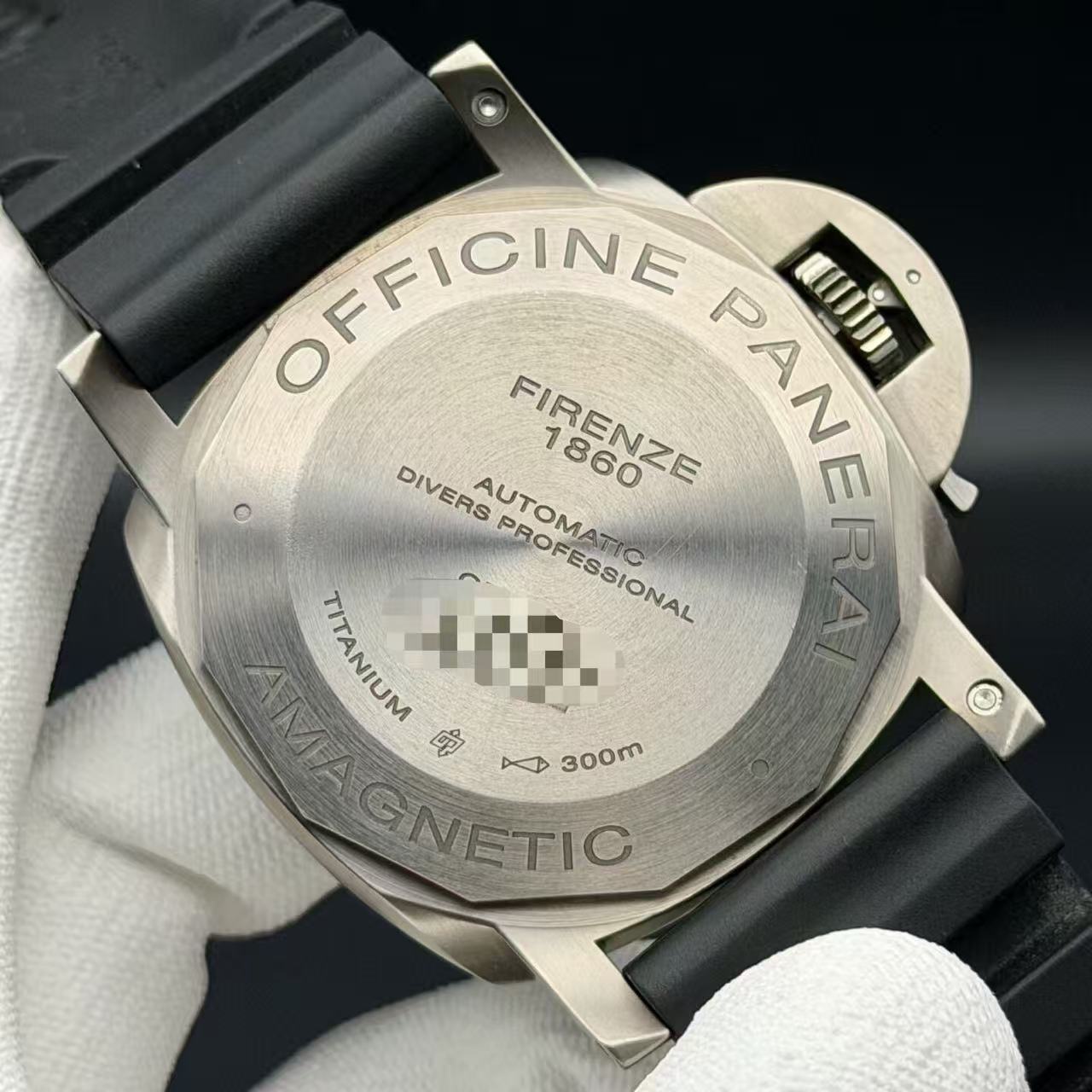 PAM01389 - Image 6