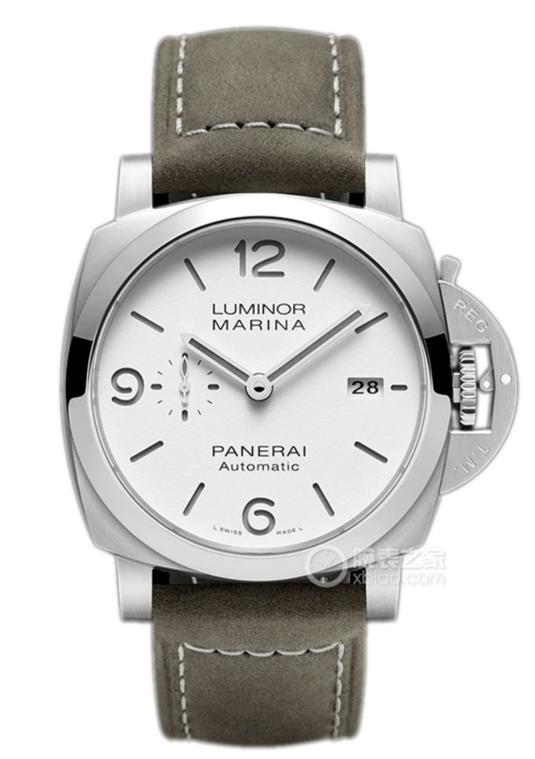 PAM01314 - Image 2