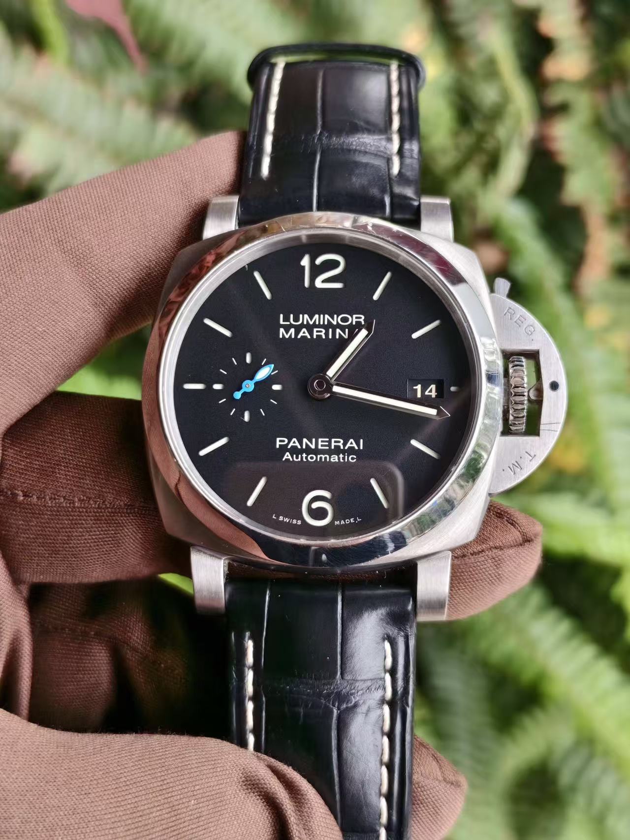PAM01392 - Image 2