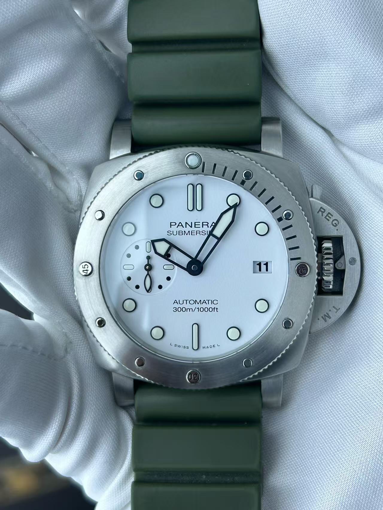 PAM01223 - Image 2