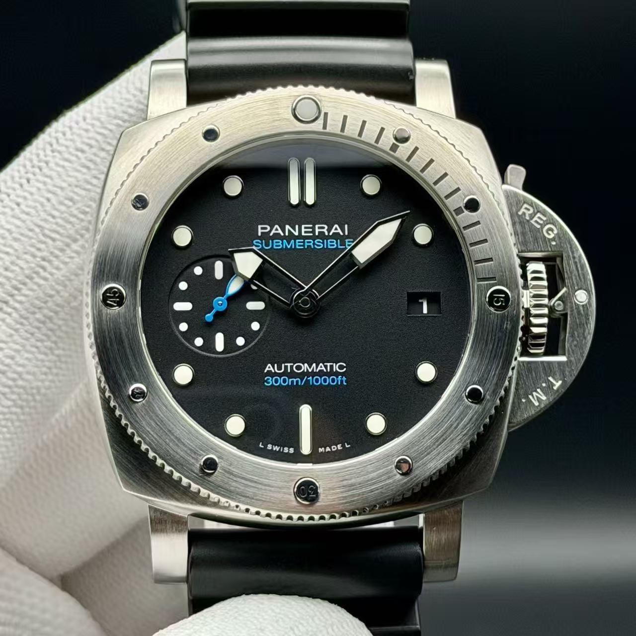 PAM00973 - Image 2