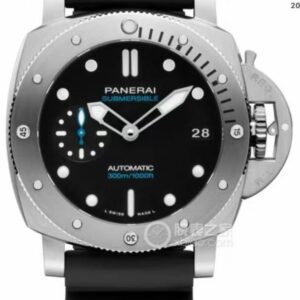 PAM00973
