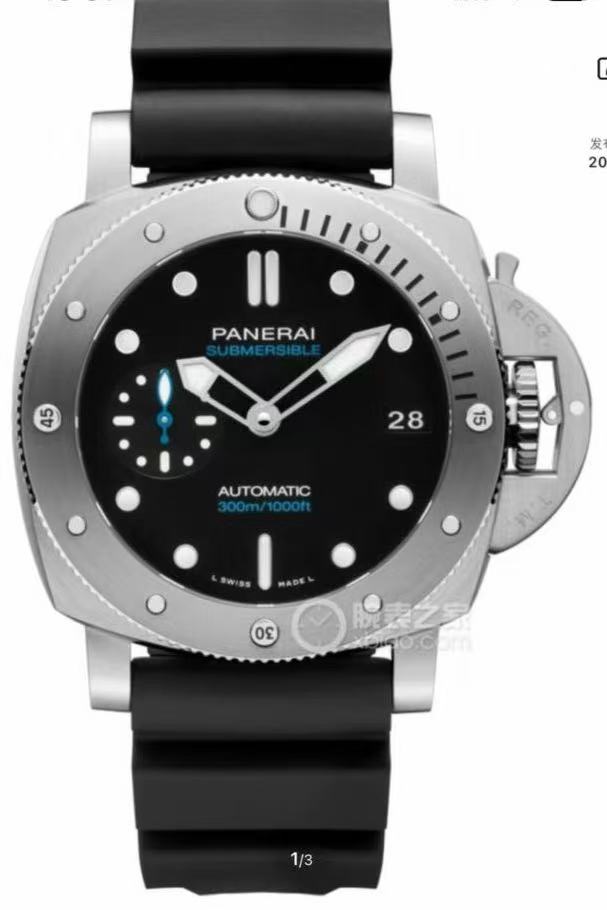 PAM00973