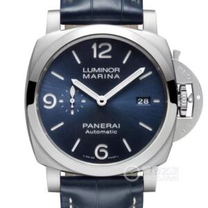 PAM01313