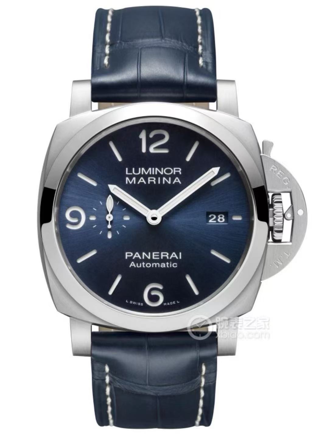 PAM01313