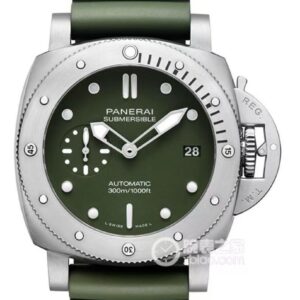 PAM01055