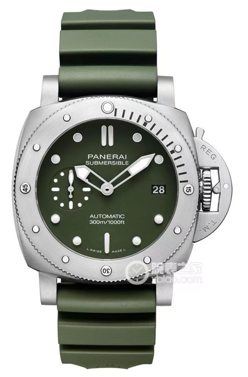PAM01055