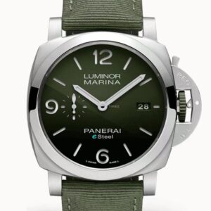 PAM01356