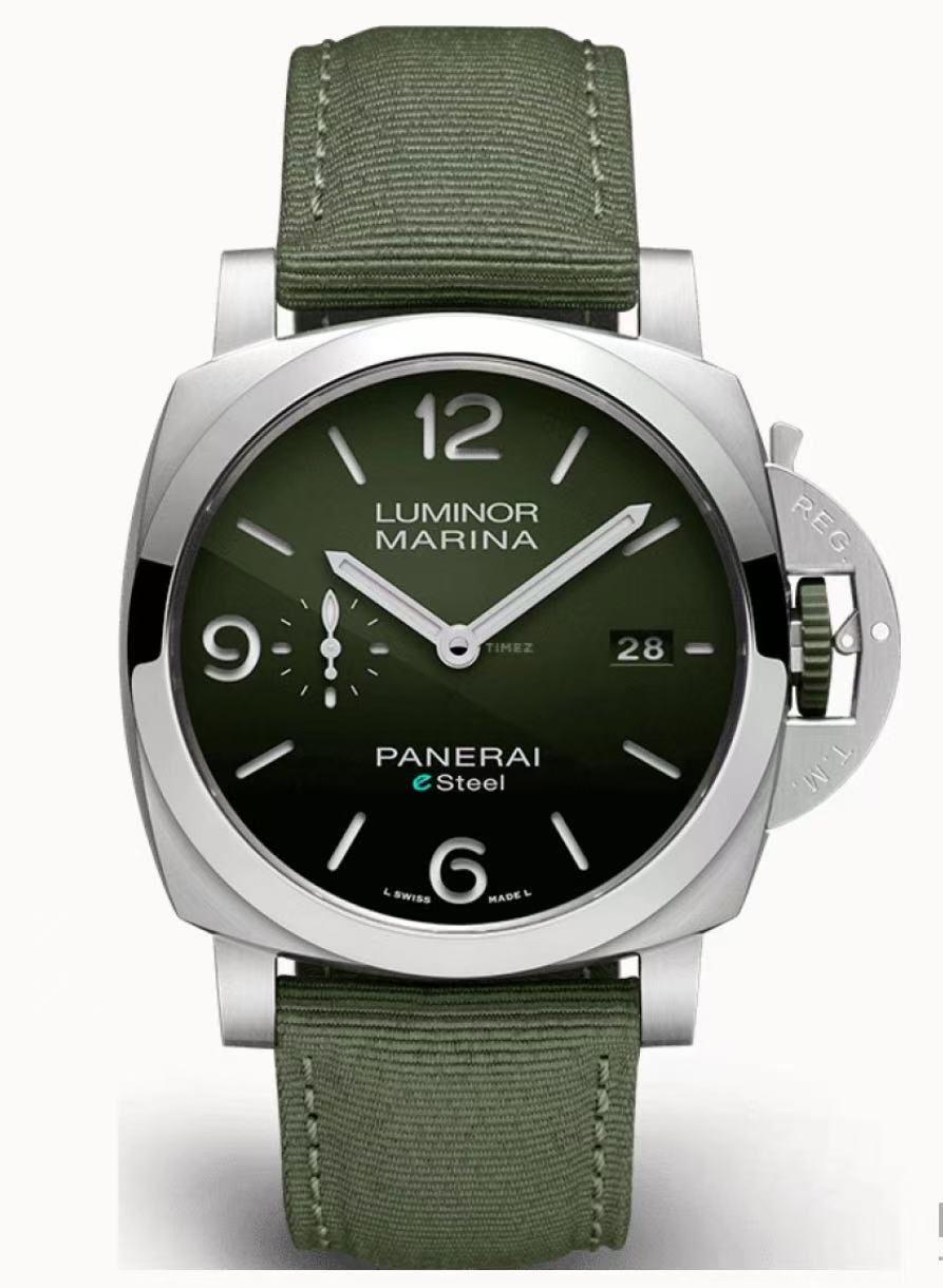 PAM01356