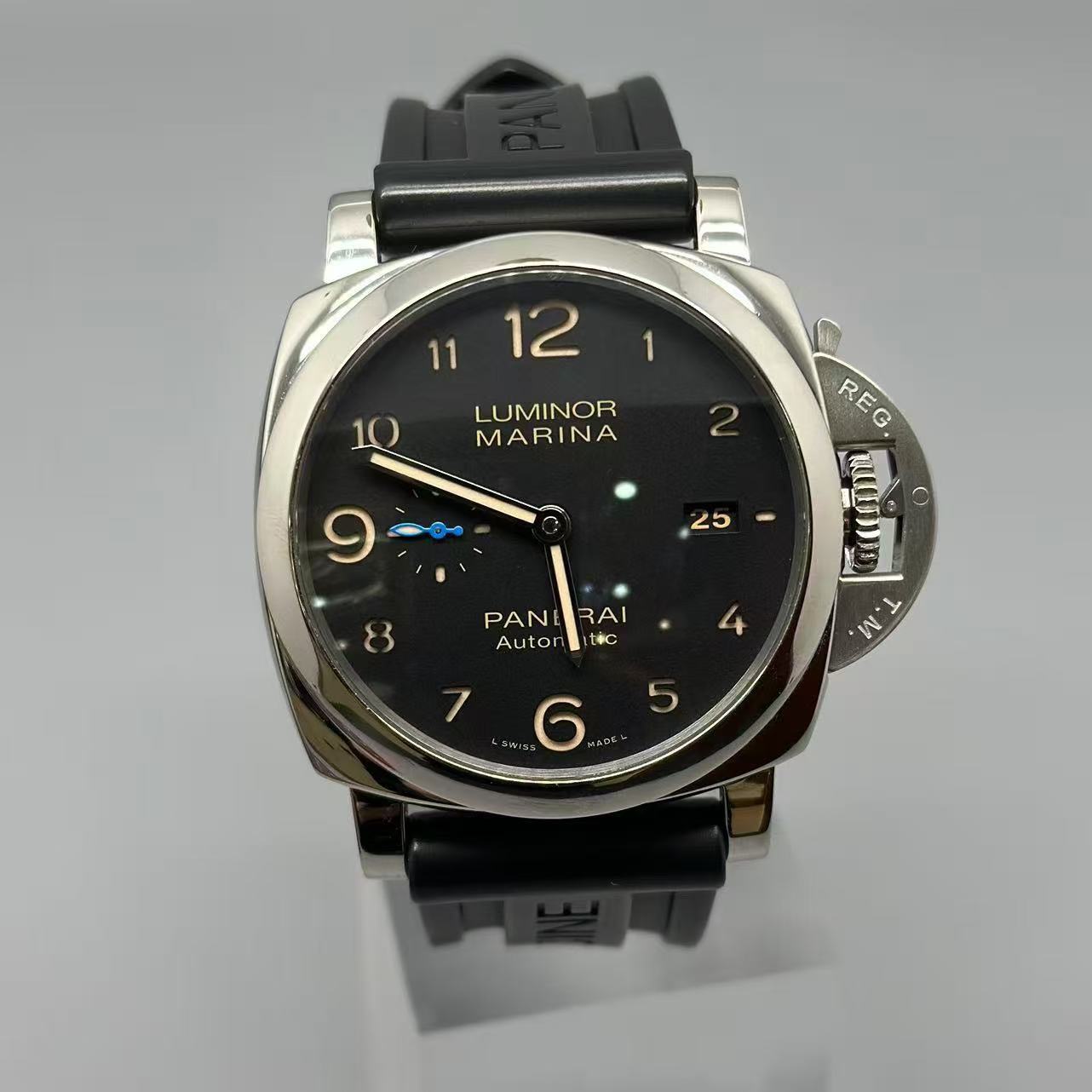 PAM01359 - Image 2